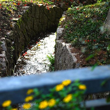 Ferienwohnung Wanderschoen Sasbachwalden Exteriör bild